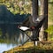 Wakeman Portable Camping Chair - Compact and Foldable Chair with Carrying Bag by Black 75-CMP1139 - alternate 8